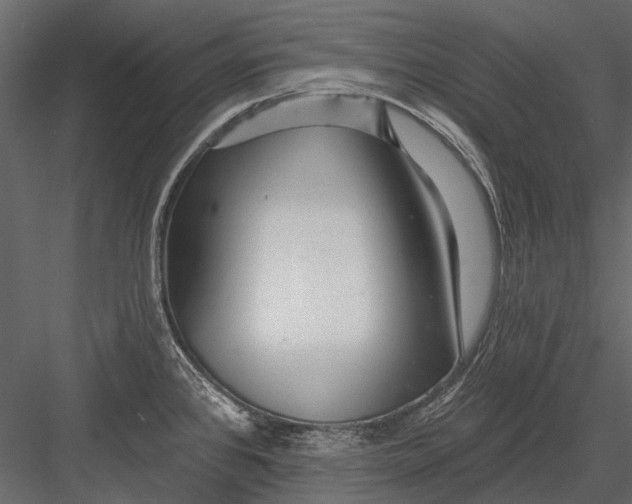 X0000082981384200702230022