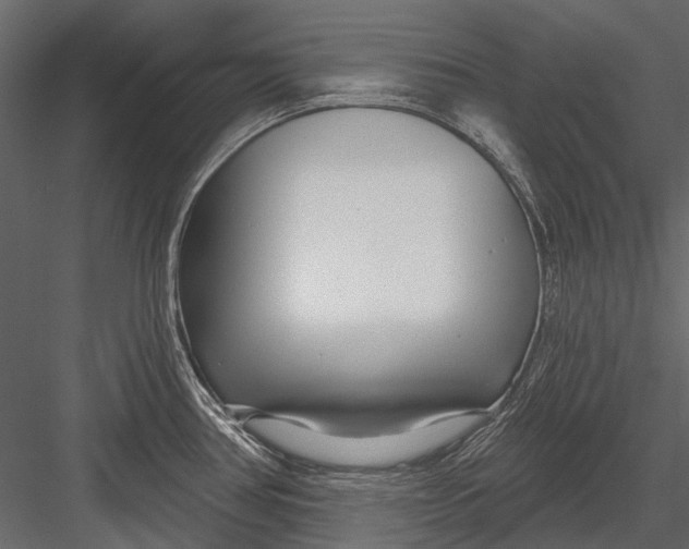 X0000082981386200702230022