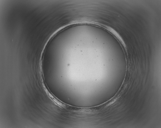 X0000082981388200702230022