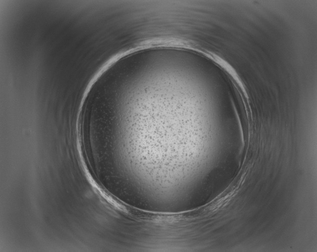X0000082981389200702230022