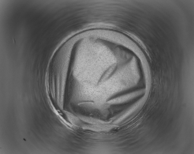 X0000082981391200702230022