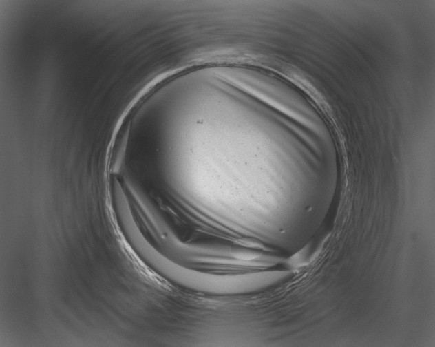 X0000082981392200702230022