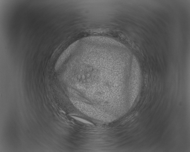 X0000082981393200702230021