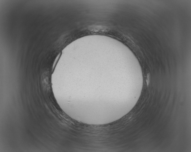 X0000082981396200702230021