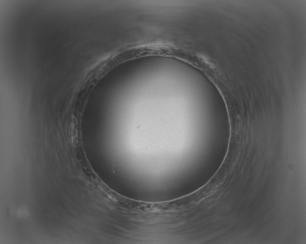 X0000082981398200702230021