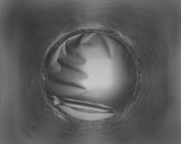 X0000082981400200702230021