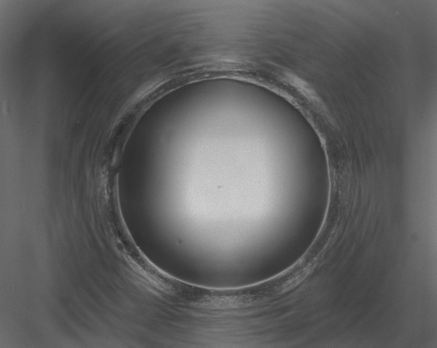 X0000082981402200702230021