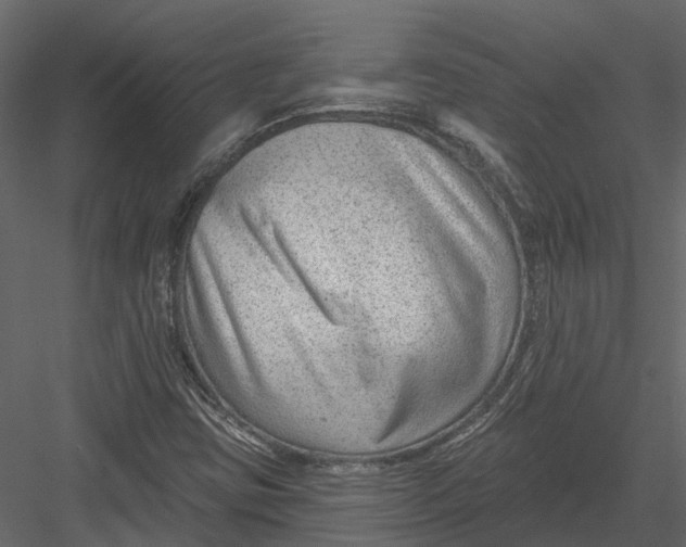 X0000082981403200702230021