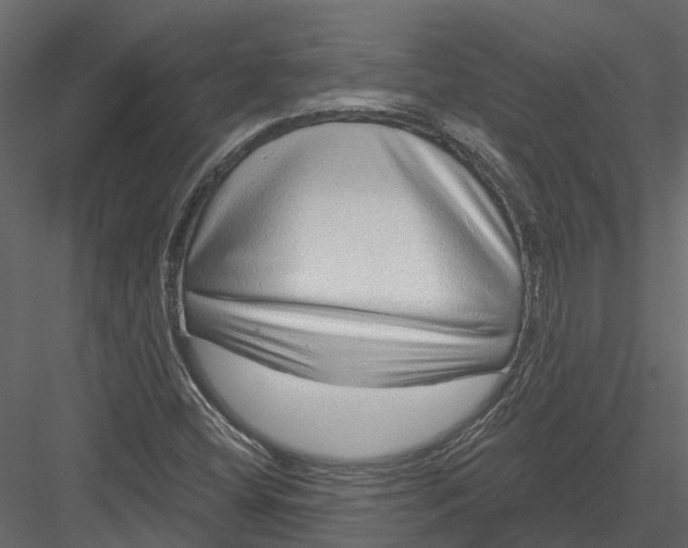 X0000082981404200702230021
