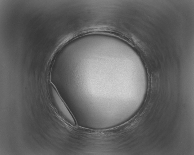 X0000082981405200702230021