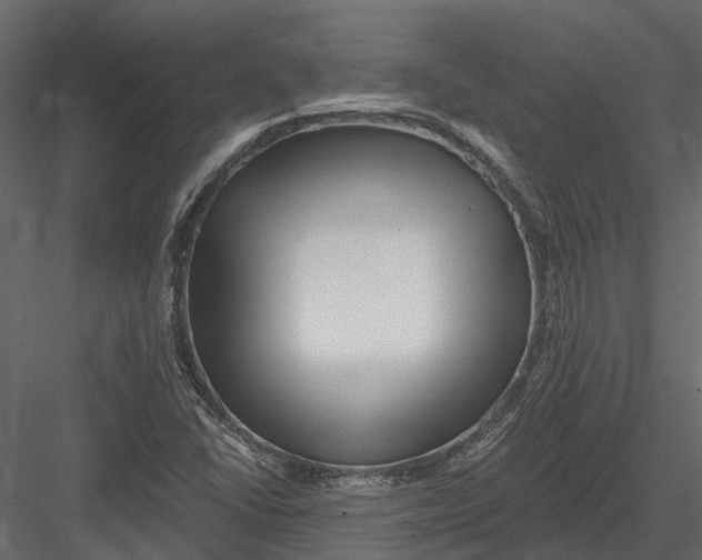 X0000082981406200702230021