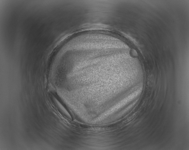 X0000082981407200702230021