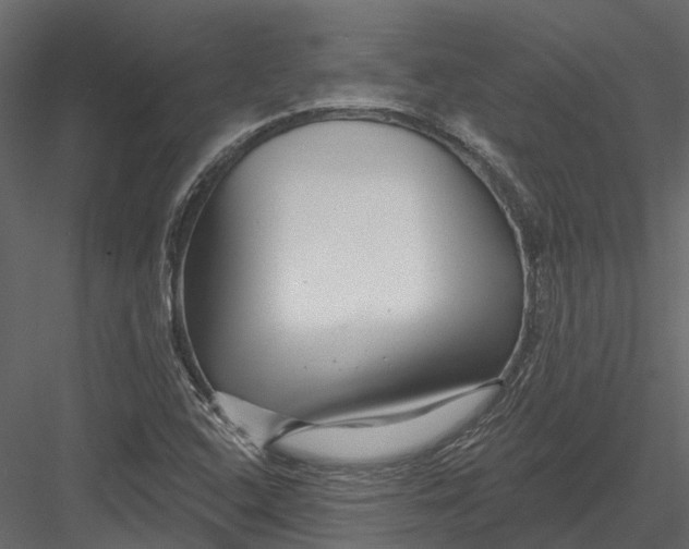 X0000082981408200702230021