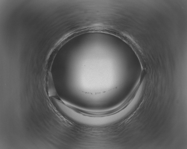 X0000082981410200702230021