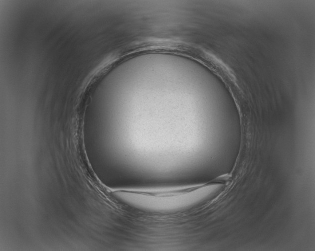 X0000082981411200702230021