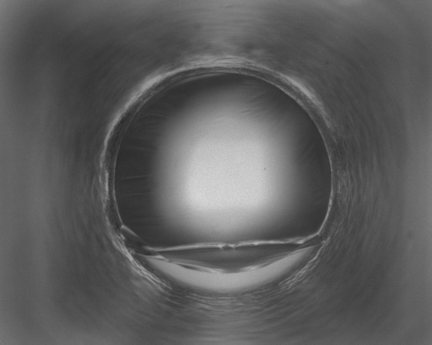 X0000082981414200702230021
