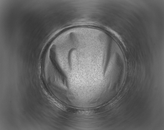 X0000082981415200702230021