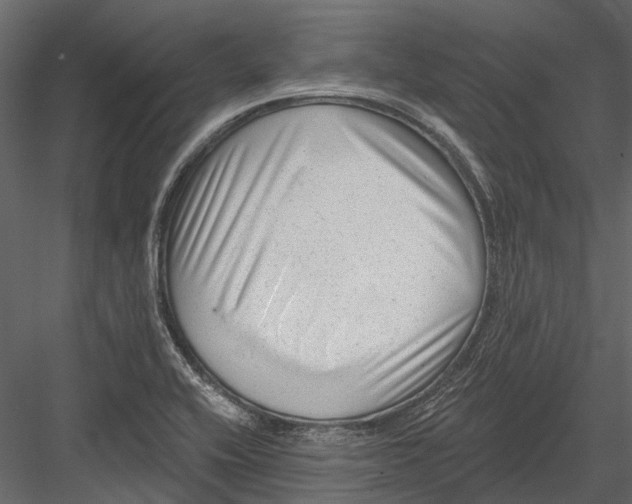 X0000082981416200702230021