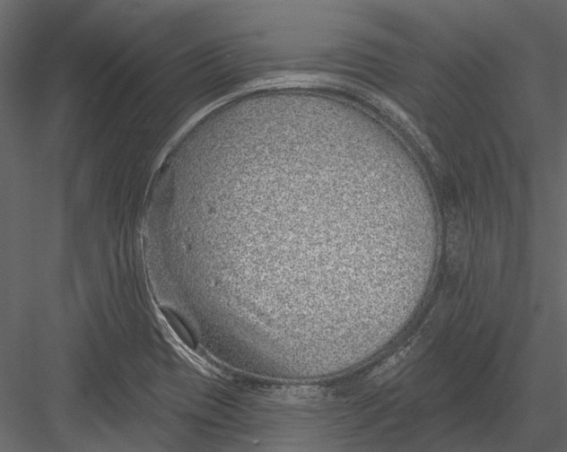 X0000082981417200702230021