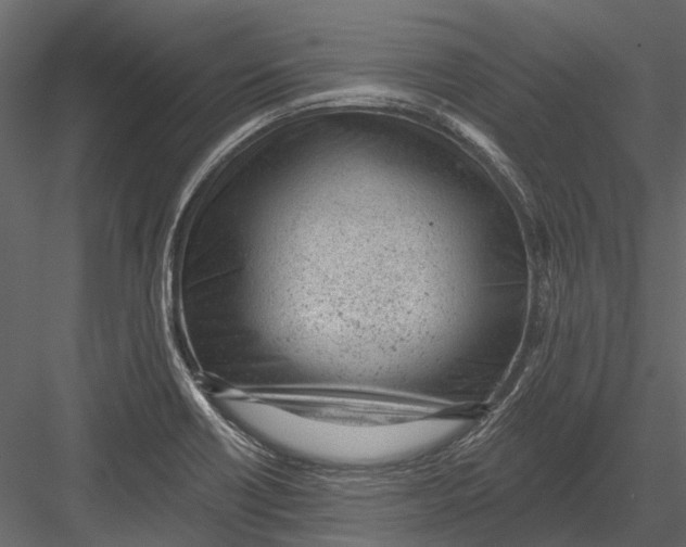 X0000082981418200702230021