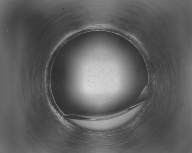 X0000082981422200702230021