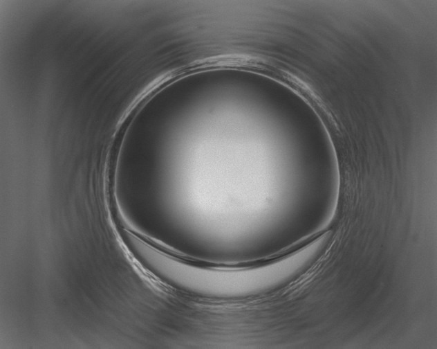 X0000082981426200702230021