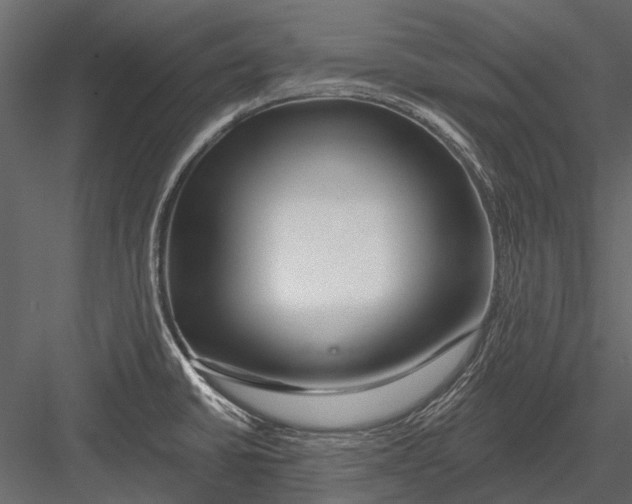X0000082981430200702230021
