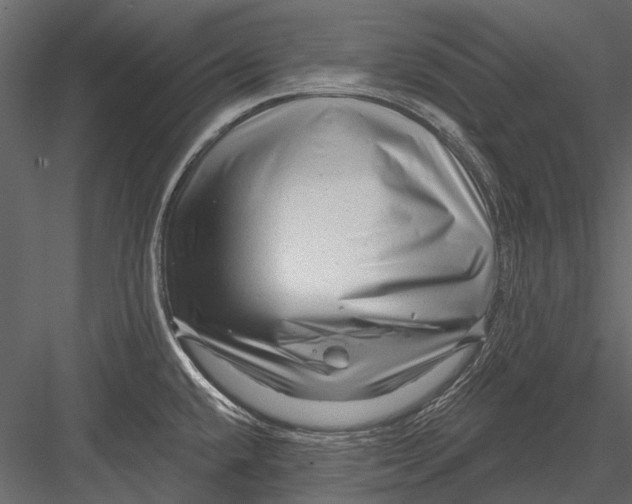 X0000082981432200702230021