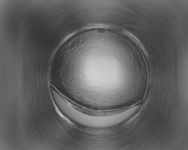 X0000082981433200702230022