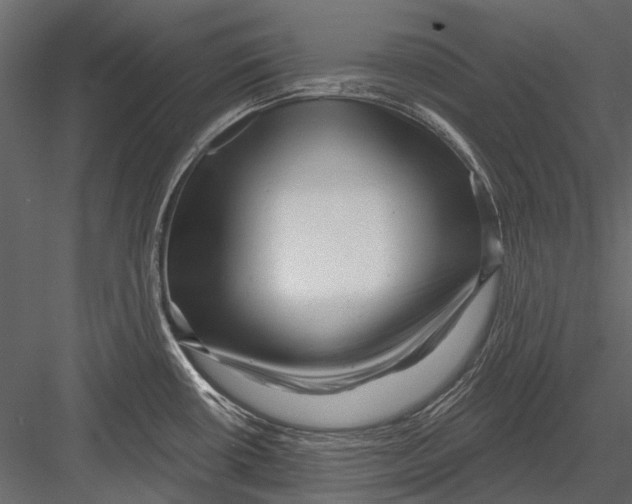 X0000082981434200702230022