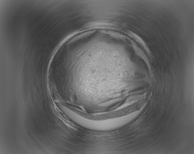 X0000082981435200702230022
