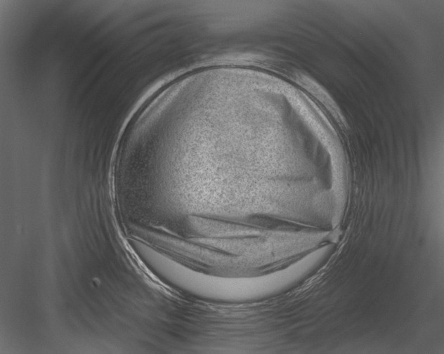 X0000082981436200702230022