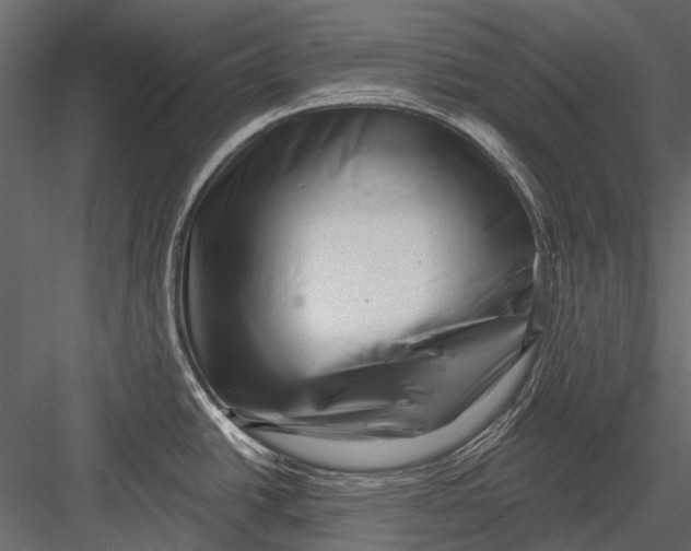 X0000082981438200702230022