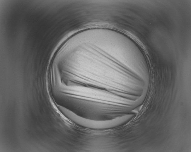 X0000082981440200702230022