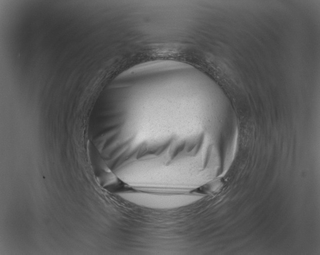 X0000082981441200702230021