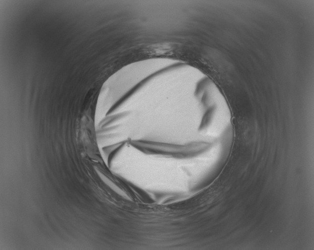 X0000082981442200702230021