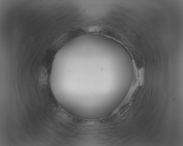X0000082981443200702230021