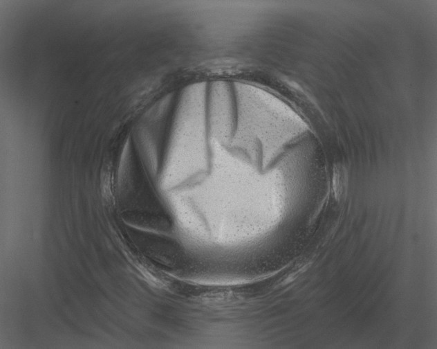 X0000082981444200702230021
