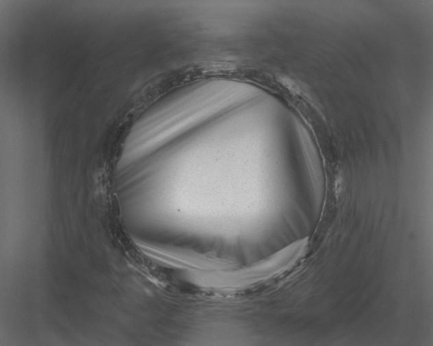 X0000082981445200702230021