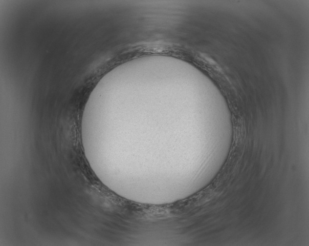 X0000082981446200702230021