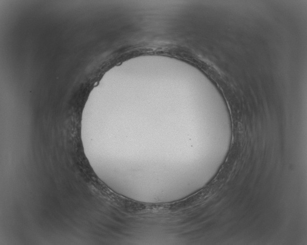 X0000082981447200702230021