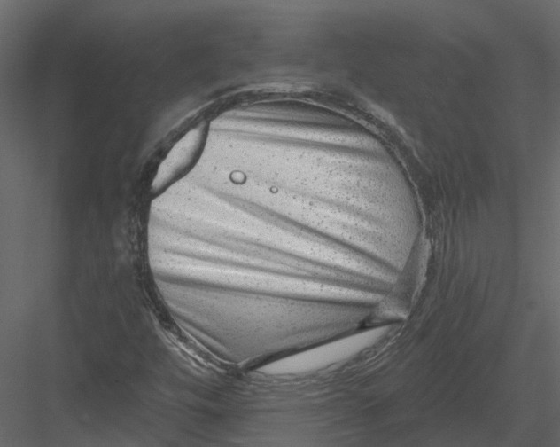 X0000082981448200702230021