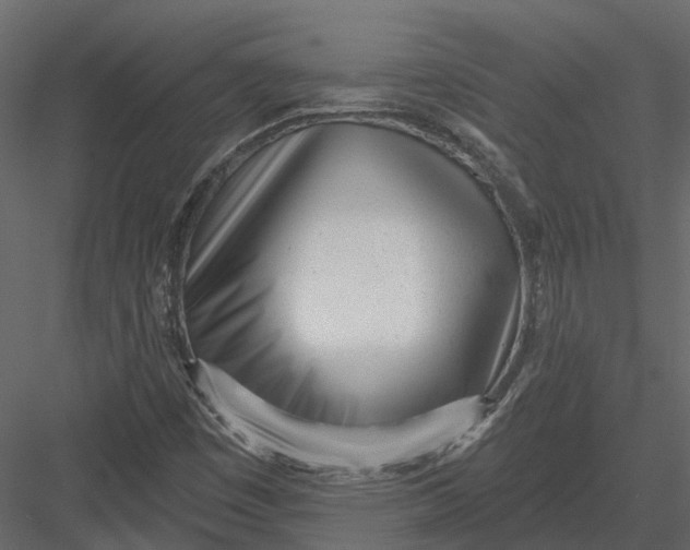 X0000082981449200702230021