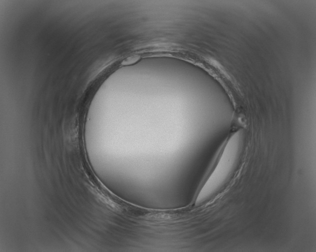 X0000082981450200702230021