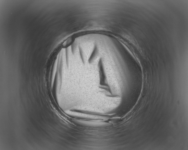 X0000082981452200702230021