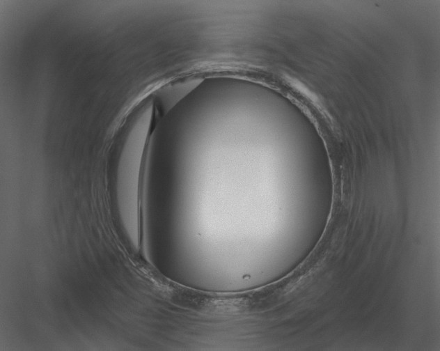 X0000082981453200702230021