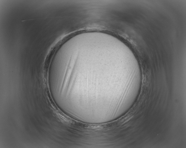 X0000082981454200702230021