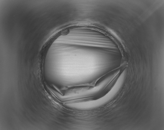 X0000082981456200702230021