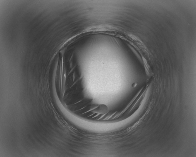 X0000082981457200702230021