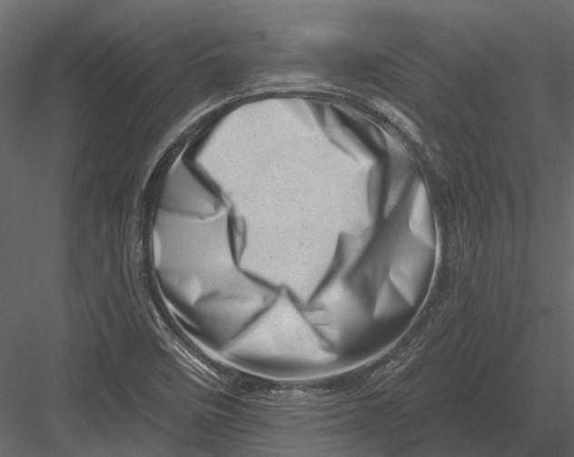 X0000082981458200702230020